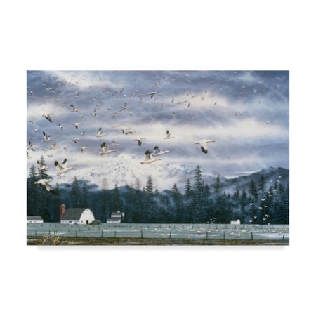 Jeff Tift 'Geese Flying Over Farmland' Canvas Art,12x19